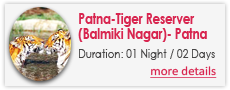 Patna-Tiger Reserver(Balmiki Nagar)-Patna Travel Packages
