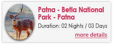 Patna-Betla National Park-Patna Travel Packages